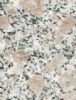 G383-1 Granite Tile